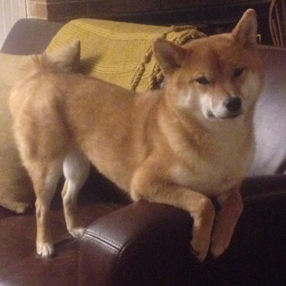 凯尔特公园的史诗之夜,哈兰德加时绝杀,一役封神莱比锡