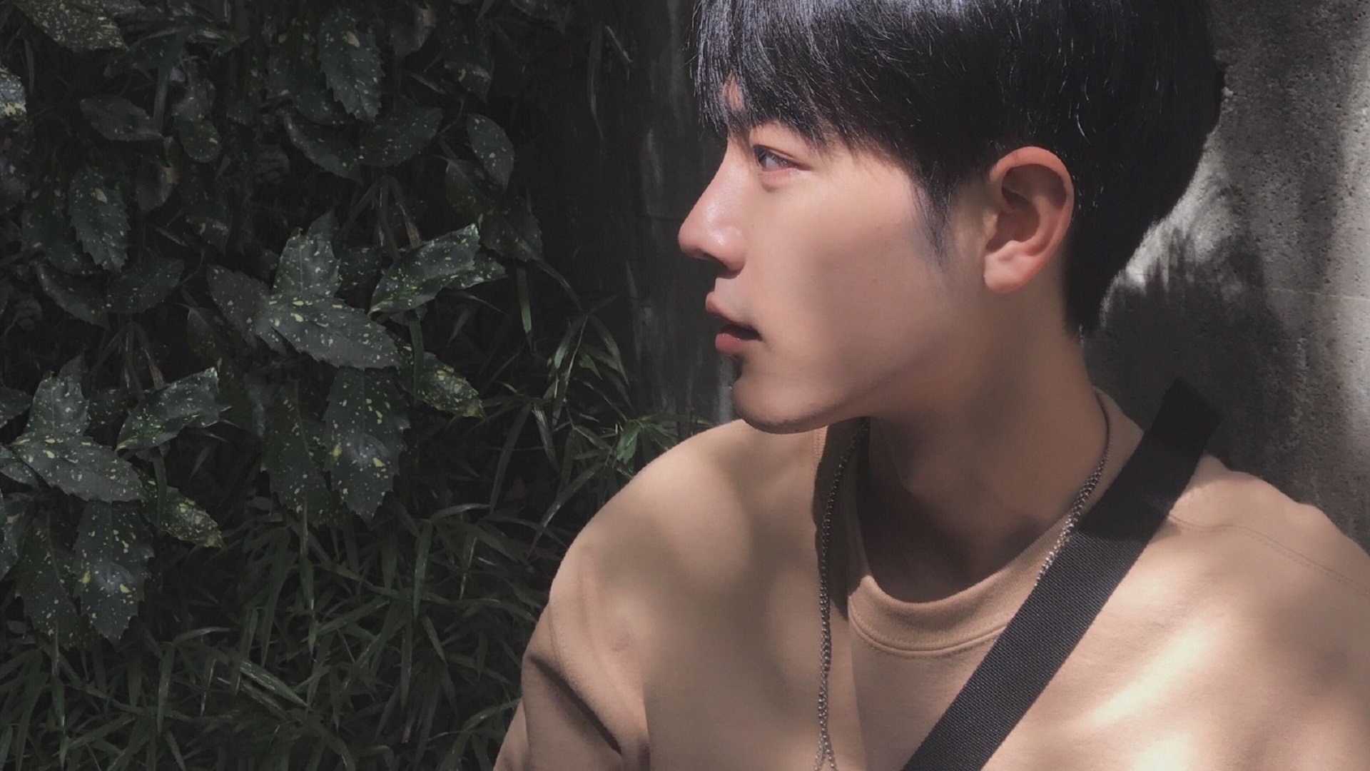 巅峰时刻，当个人闪耀遇见团队沉稳