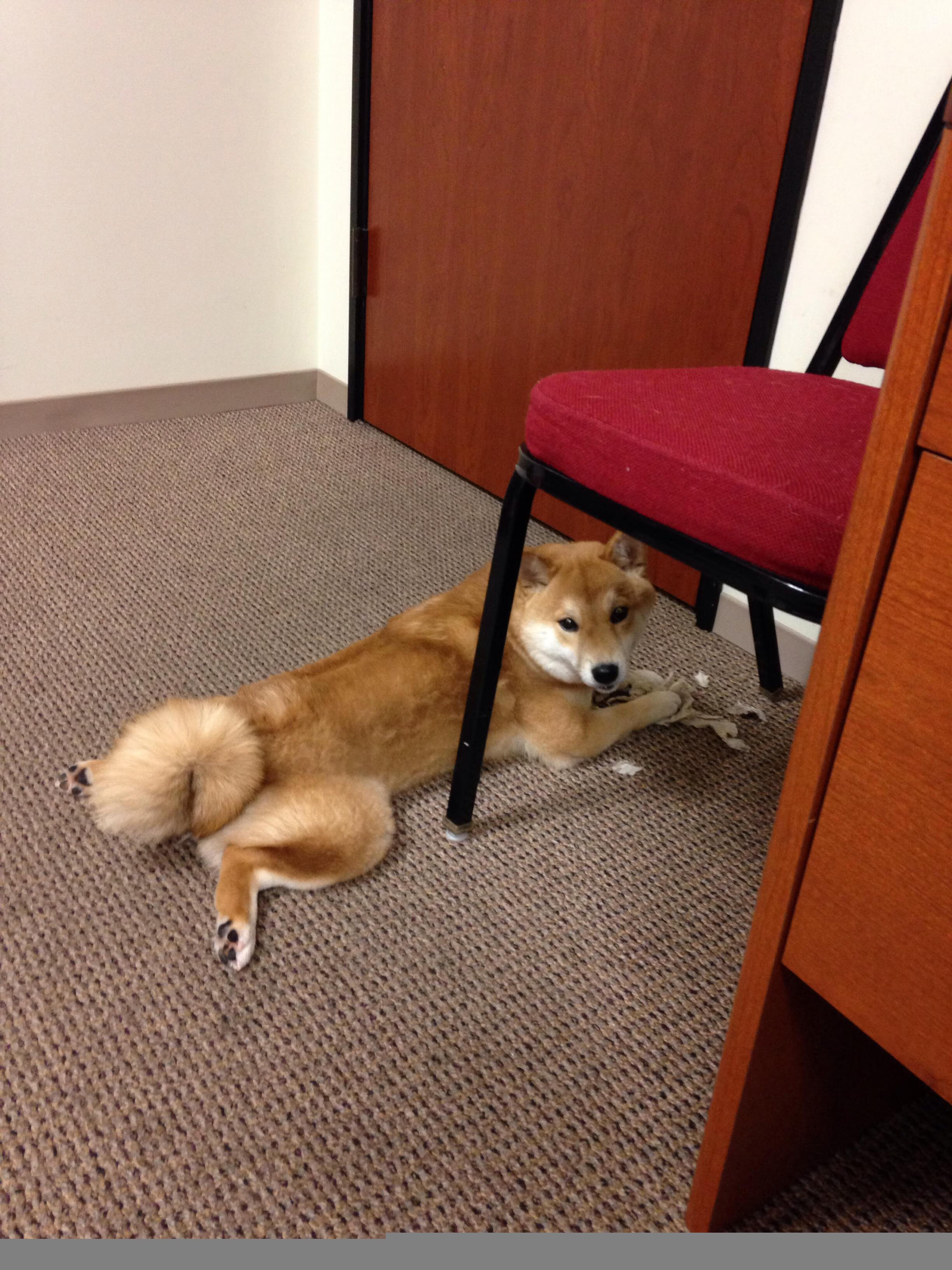 双城记，一座城的孤胆史诗，与另一座城的未来蓝图