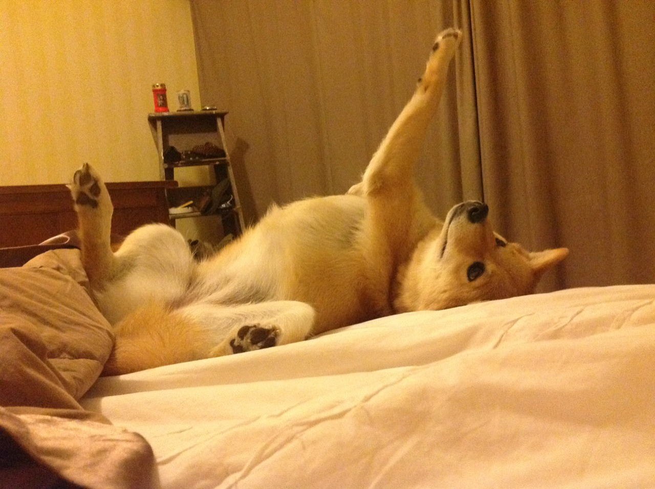 数据夜光与绝杀剑，从莫兰特爆炸秀到马刺的东方回响