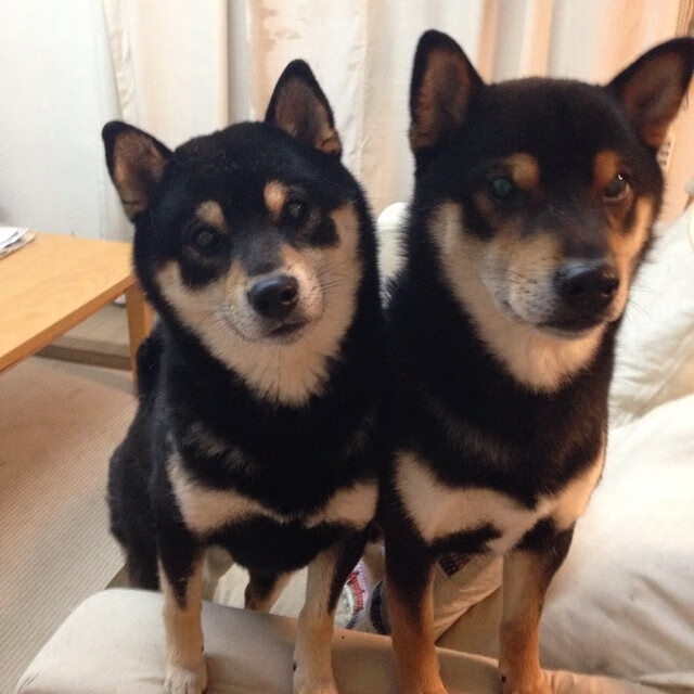 一剑封喉，欧文总决赛之夜的永恒雕刻