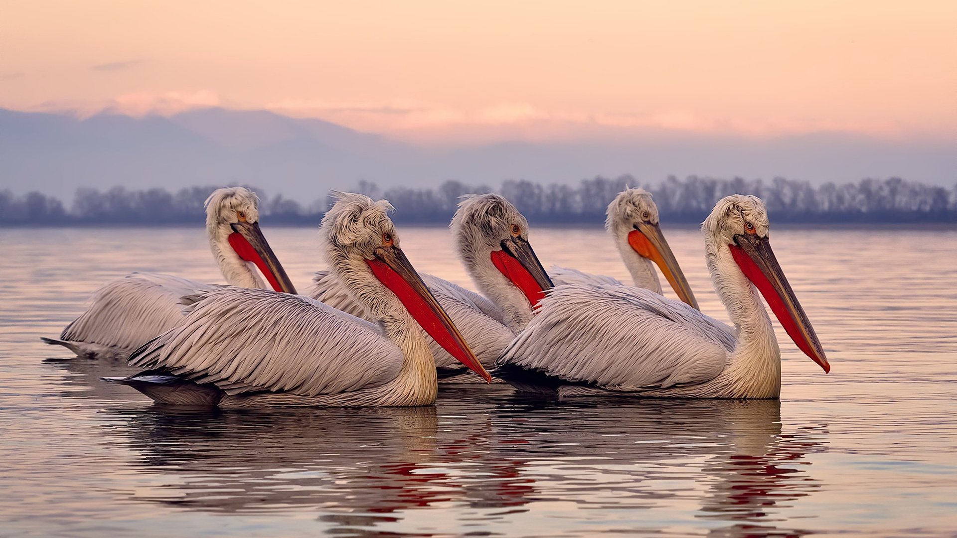 伊朗封锁毕尔巴鄂防线，加维关键先生闪耀全场