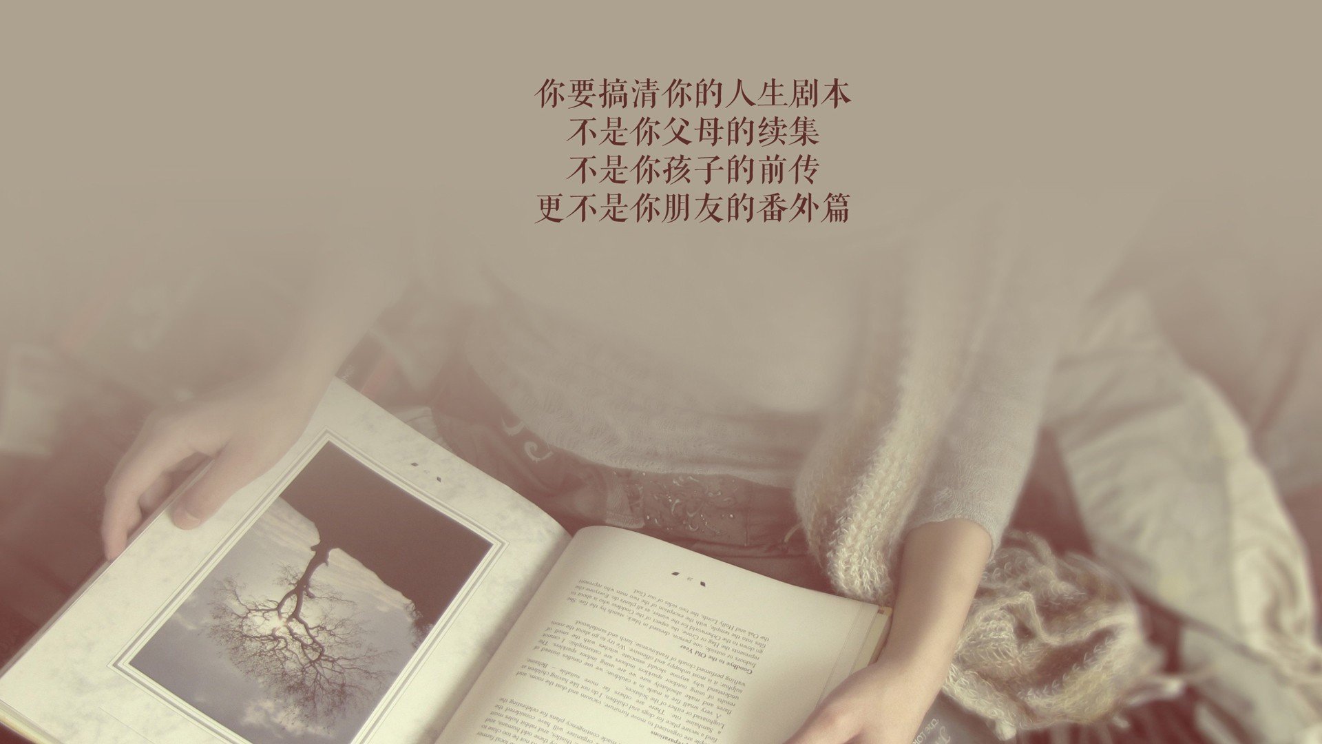 唯一的中场呼吸，2026世界杯D组，当荷兰的风车碾过葡萄牙的航海图，拉什福德用稳定写就非我不可的胜利