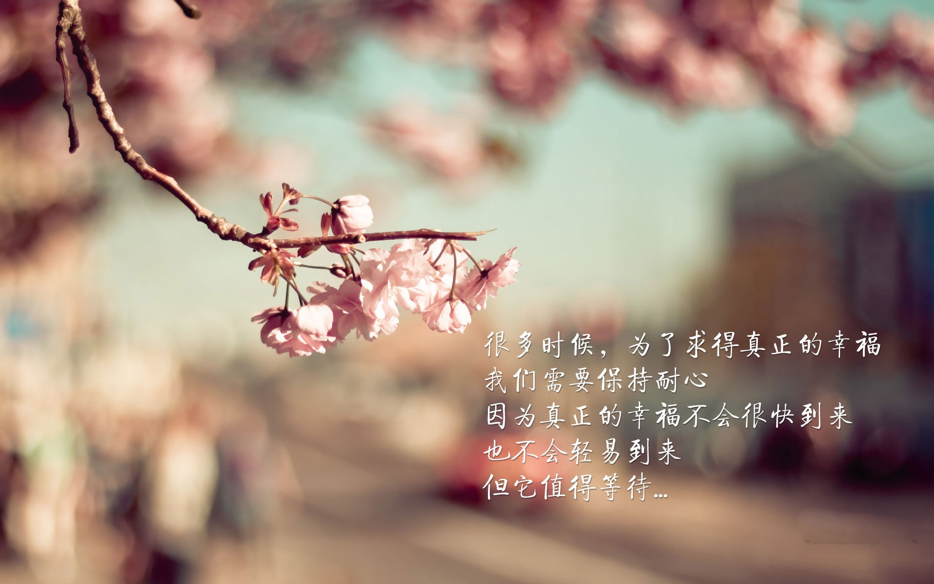 郁金香之刃与东欧铁骑,2026世界杯巅峰对决,莱万多夫斯基的天神下凡