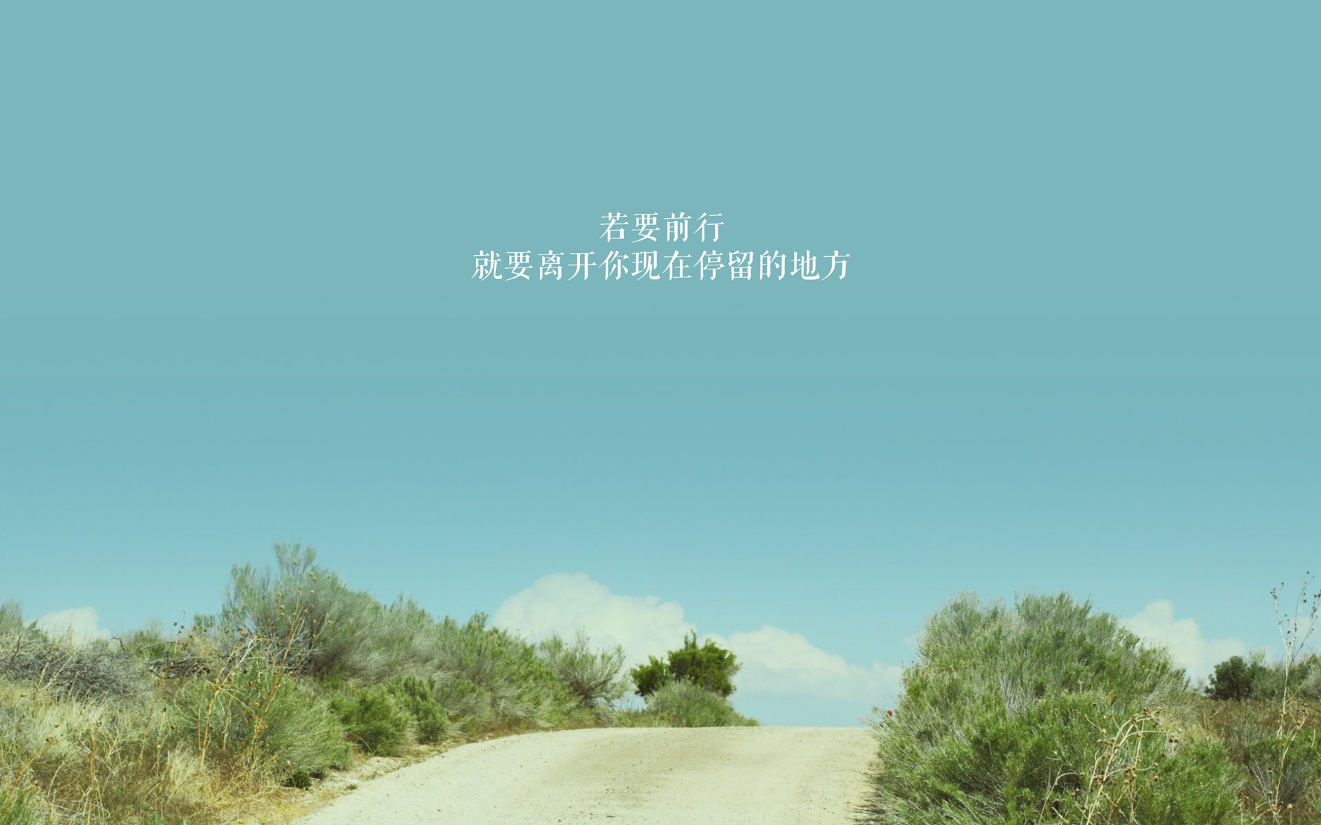 绝境中的王者之心,那场定义葡萄牙黄金一代的逆转之夜