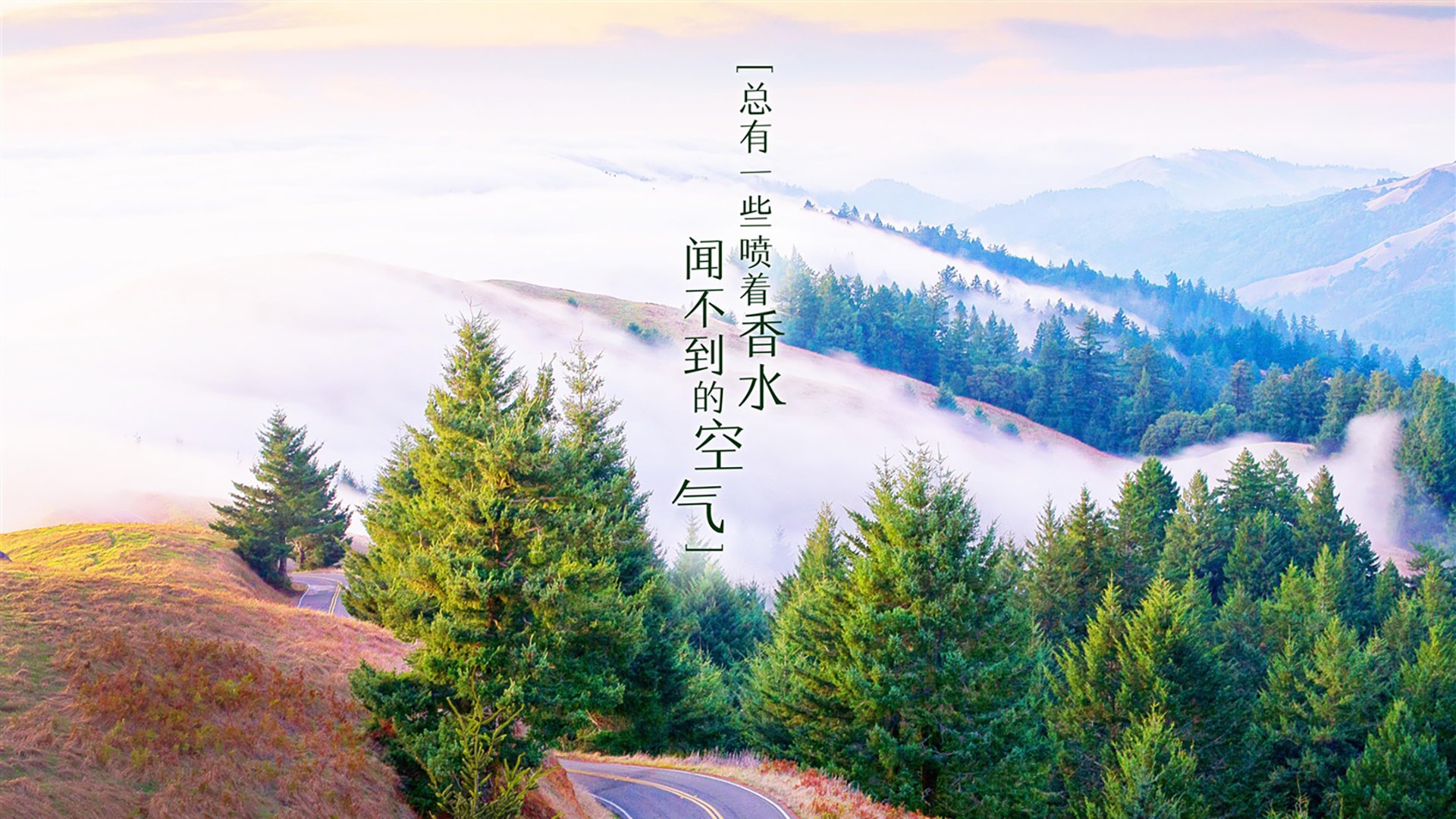 一记射穿2026的孤星,巴雷拉的致命一击,让葡萄牙在E组写下唯一的神话
