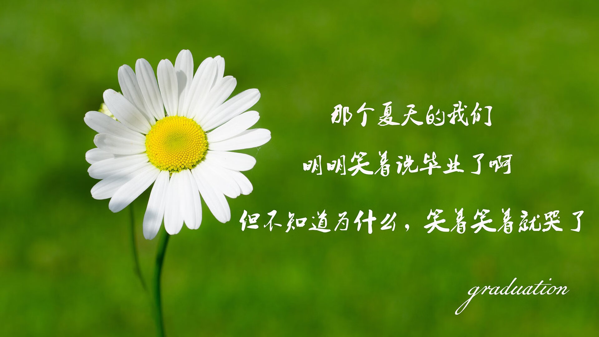 1.利雅得之夜，当沙漠之鹰折翼阿尔卑斯，C罗用绝杀为亚洲足球正名
